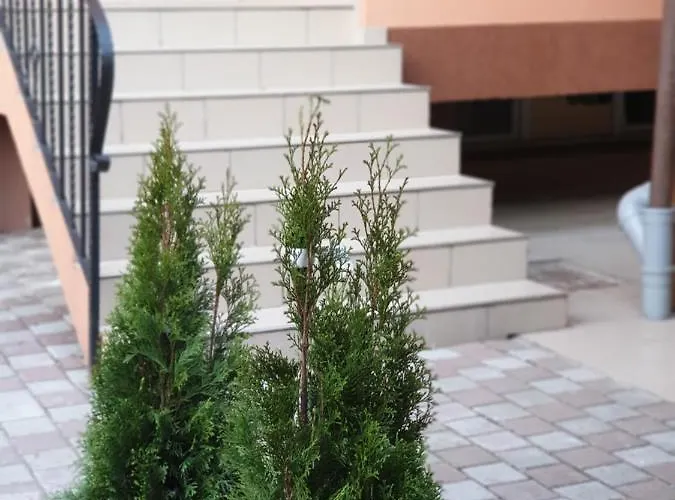 Villa Accommodation דירה *