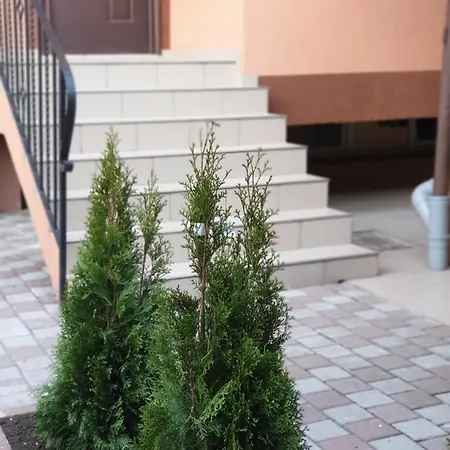 Villa Accommodation Апартаменти *