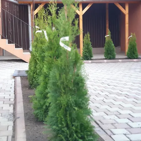 Apartman Villa Accommodation *