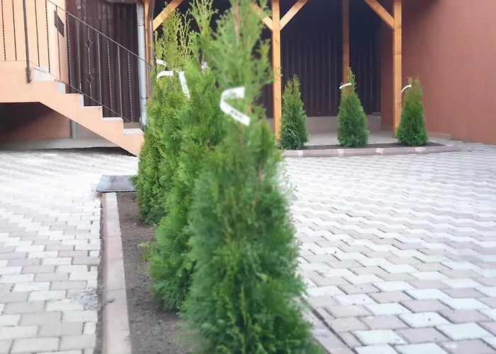 Apartament Villa Accommodation *